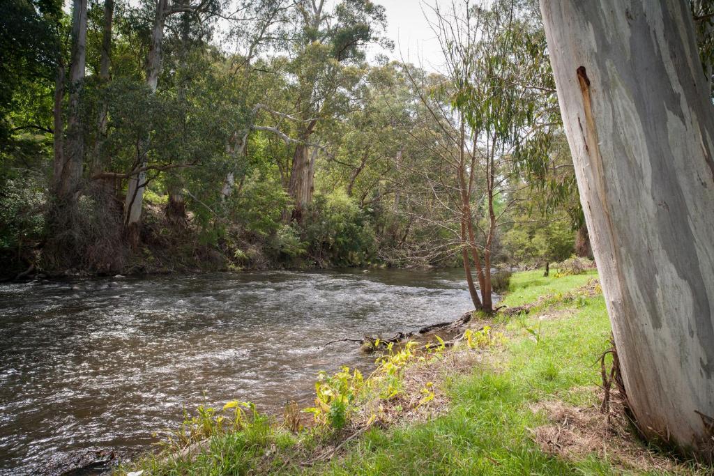 Oscar'S On The Yarra Hotel Warburton Kamer foto